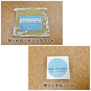 掃除サボレール M  コオロギ レッドローチ用 デュビア、レッドローチ、コオロギ用《飼育ケージ》【掃除